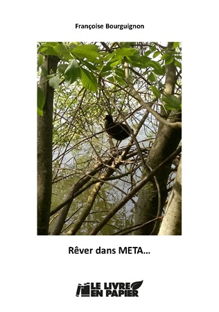 Illustration pour un livre publié : Rêver dans Meta