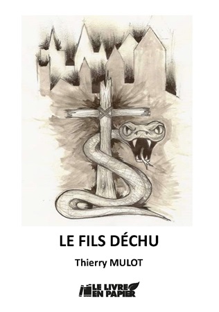 Illustration pour un livre publié : Le fils déchu