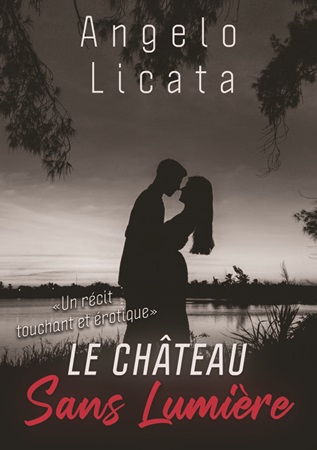 Illustration pour un livre publié : Le château sans lumière