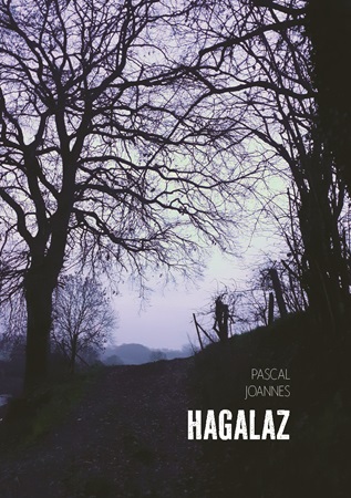 Illustration pour un livre publié : Hagalaz