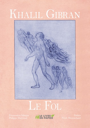 Illustration pour un livre publié : Le Fol