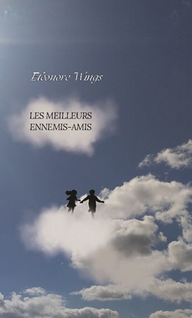 Illustration pour un livre publié : Les meilleurs ennemis-amis