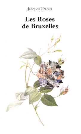 Illustration pour un livre publié : Les Roses de Bruxelles