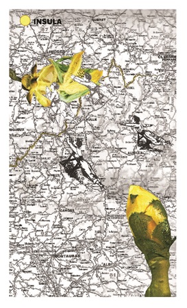 Illustration pour un livre publié : Insula