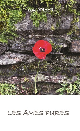 Illustration pour un livre publié : Les Âmes Pures