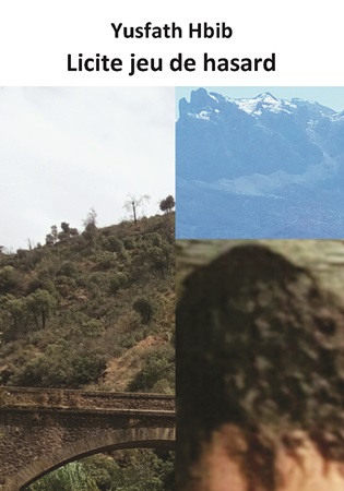 Illustration pour un livre publié : Licite jeu de Hasard