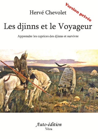 Illustration pour un livre publié : Les djinns et le Voyageur