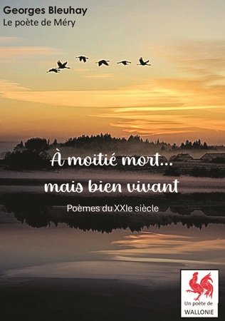 Illustration pour un livre publié : À moitié mort ... mais toujours vivant