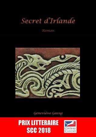 Illustration pour un livre publié : Secret d'Irlande