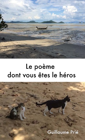 Illustration pour un livre publié : Le poème dont vous êtes le héros