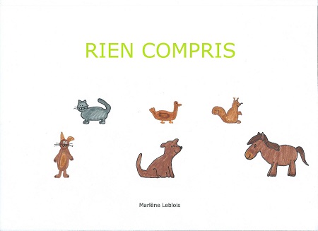 Illustration pour un livre publié : Rien Compris