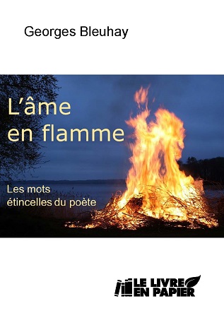 Illustration pour un livre publié : L'âme en flamme