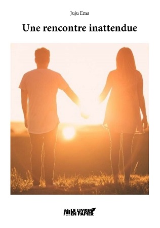 Illustration pour un livre publié : Une rencontre inattendue