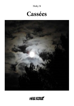 Illustration pour un livre publié : Cassées