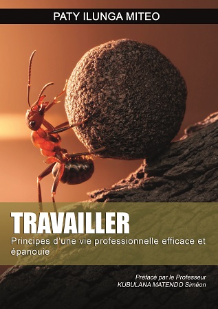 Illustration pour un livre publié : Travailler. Principes d'une vie professionnelle efficace et épanouie.