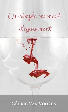 Illustration pour un livre publié : Un simple moment d'égarement