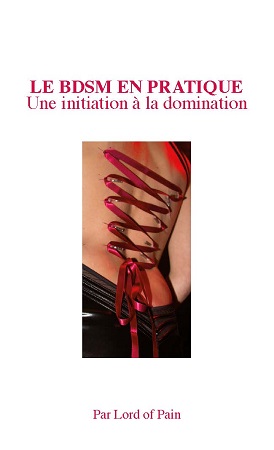 Illustration pour un livre publié : LE BDSM EN PRATIQUE - Une initiation à la domination 
