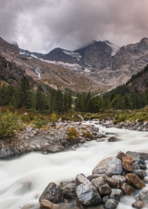 Jean-pierre Frippiat