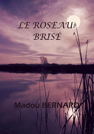 Illustration pour un livre publié : LE ROSEAU BRISÉ
