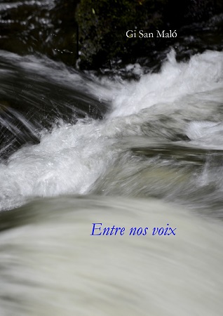 Illustration pour un livre publié : Entre nos voix