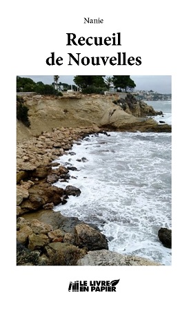 Illustration pour un livre publié : Recueil de nouvelles