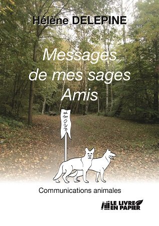 Illustration pour un livre publié : Messages de mes Sages Amis