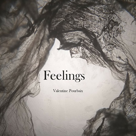 Illustration pour un livre publié : Feelings