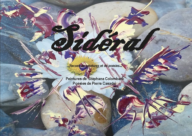 Illustration pour un livre publié : Sidéral