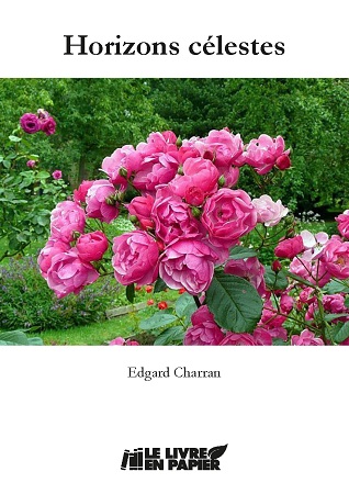 Illustration pour un livre publié : Horizons célestes.