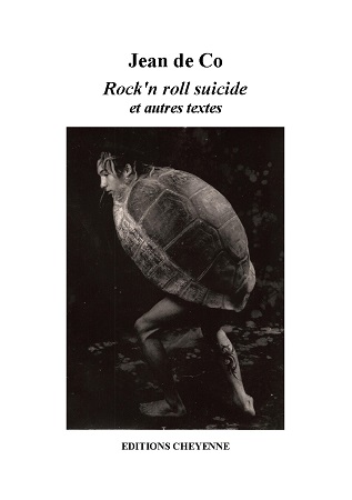 Illustration pour un livre publié : Rock'n roll suicide et autres textes