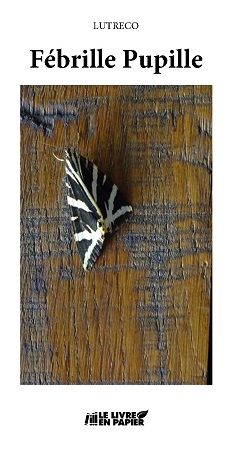 Illustration pour un livre publié : Fébrille Pupille