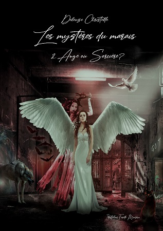 Illustration pour un livre publié : Les mystères du marais - Tome 2. Ange ou sorcière