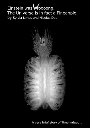Illustration pour un livre publié : Einstein was Wroooong, the Universe is in fact a Pineapple!