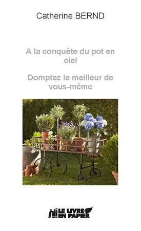 Illustration pour un livre publié : A la conquête du pot en ciel. Domptez le meilleur de vous-même