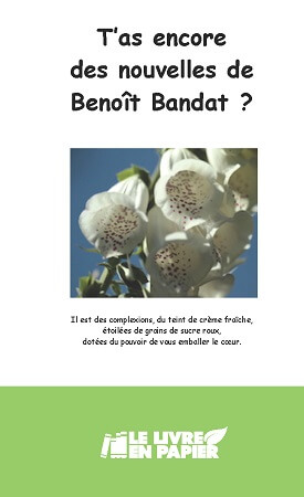 Illustration pour un livre publié : T'as encore des nouvelles de Benoît Bandat ?