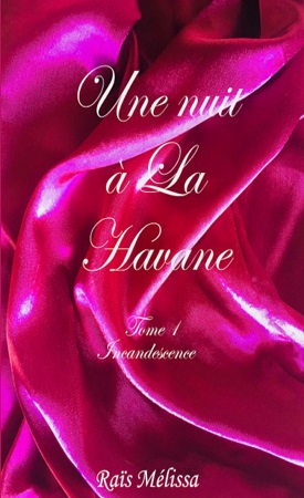 Illustration pour un livre publié : Une nuit à La Havane.