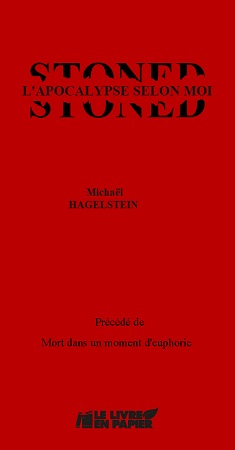 Illustration pour un livre publié : Stoned ou l'Apocalypse selon Moi