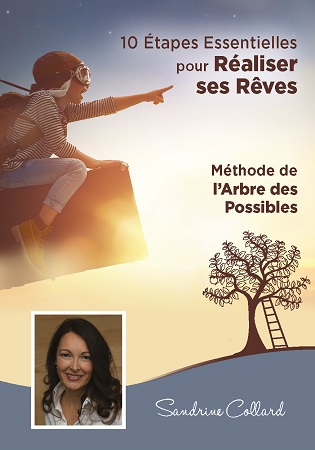 Illustration pour un livre publié : 10 Etapes Essentielles pour Réaliser ses Rêves