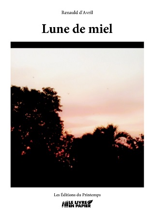 Illustration pour un livre publié : Lune de miel