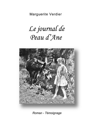 Illustration pour un livre publié : Le journal de Peau d'Ane