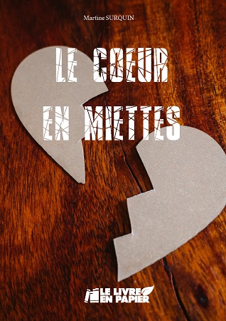 Illustration pour un livre publié : Le coeur en miettes