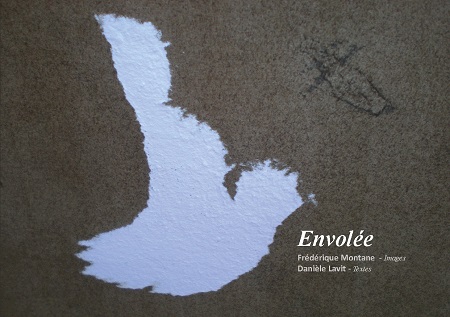 Illustration pour un livre publié : Envolée