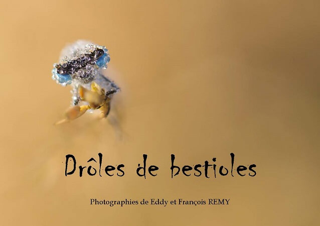 Illustration pour un livre publié : Drôles de bestioles