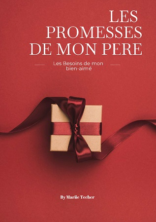 Illustration pour un livre publié : Les promesses de mon père