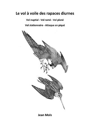 Illustration pour un livre publié : Le vol à voile des rapaces diurnes : vol nuptial - vol ramé - vol plané - vol stationnaire - attaque en piqué