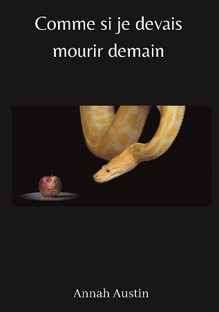 Illustration pour un livre publié : Comme si je devais mourir demain