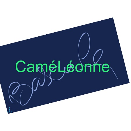 Illustration pour un livre publié : CaméLéonne