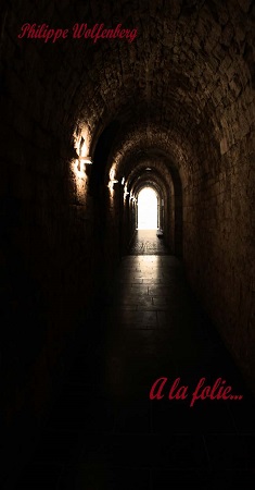 Illustration pour un livre publié : A la folie...