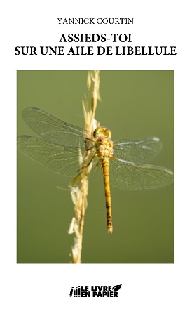 Illustration pour un livre publié : Assieds-toi sur une aile de libellule. Rencontres...