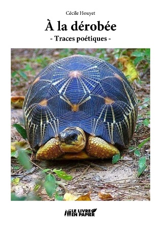 Illustration pour un livre publié : À la dérobée